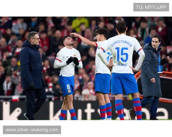 佩德里：半空间组织与串联核心