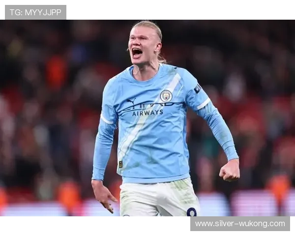 哈兰德是否缺乏个人荣誉？关键奖项与表现匹配度分析