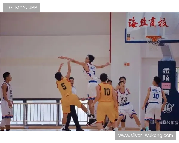 篮球球员犯规离场规则详解，不同联赛判定标准解读